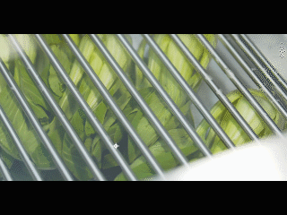 1560992125642349.gif 微信圖片_20190620083938.gif