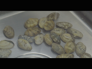 1560992141244795.gif 微信圖片_20190620083940.gif